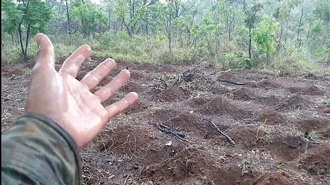 Como é realizado o preparo do solo para o cultivo da mandioca?