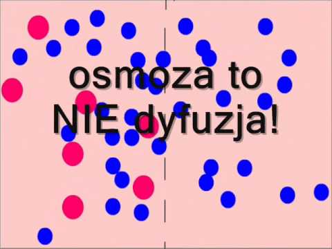 Video: Razlika Između Osmoze I Plazmolize