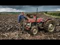 This Massey Ferguson Tillage Job Made Me $50,000 — The Bank Said I'd Lose the Farm Doing It