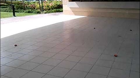 VDF Drift Practice with 83% CS rates