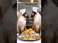 🫱Cat Saying that Fantastic Briyani, Spices are Truly Remarkable! #trend #viral