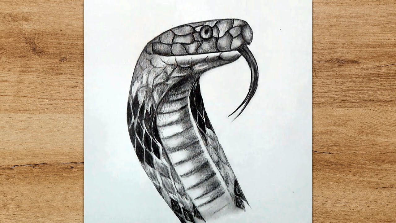 How to Draw a Snake Head Step by Step | Pencil Drawing - YouTube