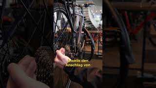 So Kannst Du Fahrradschaltung Perfekt Einstellen