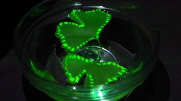 Projection Mapping onto Two Ginkgo on the Water