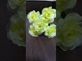 ♪『忘れないわ』ペギー・マーチさんの曲(1969年)