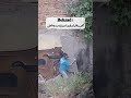استوری بهزاد بهزاد عاشقانه غمگین عشق و نفرت اکس دیت اشکان عاشقانه غمگین