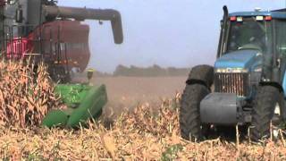 Baldwin Farms--Corn Harvest 2011