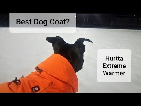 best-winter-dog-coat:-hurtta-extreme-warmer-review