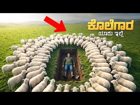 The Sheep Detective Movie Explained In Kannada | Mystery Thriller | Prime video & Netflix Movie