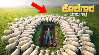 The Sheep Detective Movie Explained In Kannada | Mystery Thriller | Prime video & Netflix Movie
