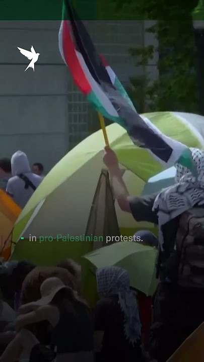 Palestinian in U.S. released on bail says ‘not afraid of Trump’