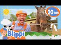 Old macdonald  blippi music  community corner  kids sing and play