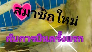 #ปล่อยบินอิสระครั้งแรก