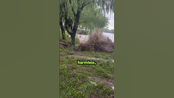 How fast flash floods happen 😯