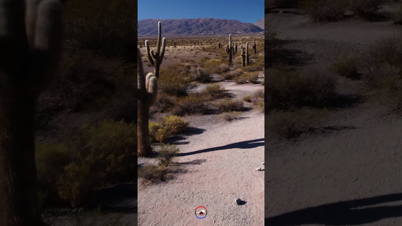 Parque Nacional Los Cardones, Recta del Tin Tin 