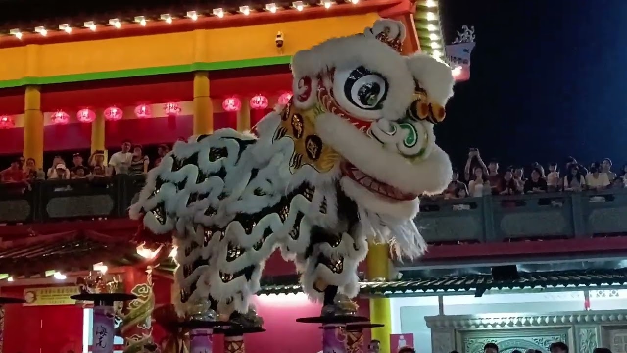 高桩舞狮👍👍＃03032026