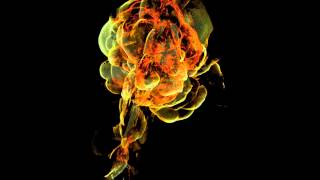 Evolving (very active) galaxy cluster: time evolution of shock Mach number