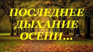 Последнее  Дыхание  Осени  Вот И Закончилась Золотая  Осень.  Осень, Прощай!!!  Аэросъёмка