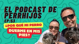 Ep 53: ¿Por qué mi perro duerme en los pies?