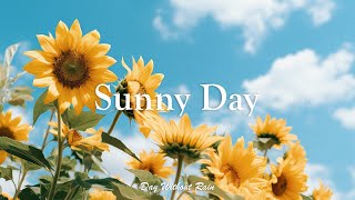 햇빛이 좋은 날 🌻 모던한 피아노 음악 - Sunny Day