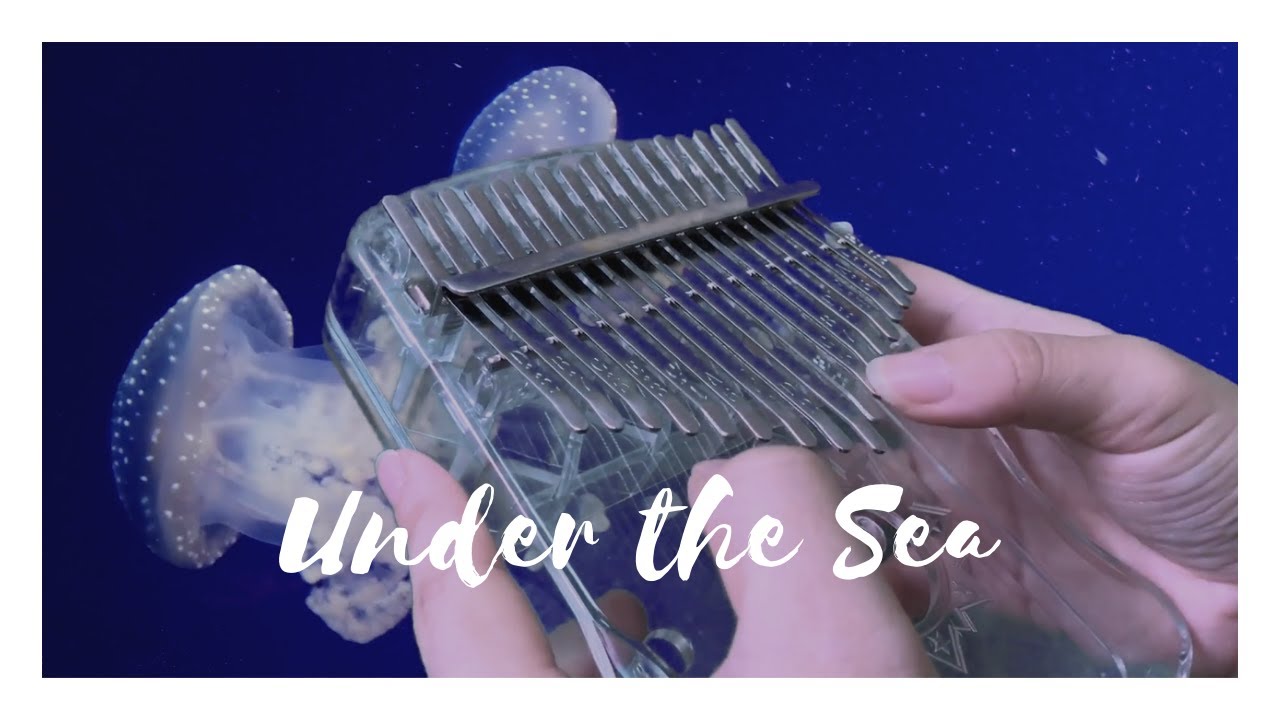 Under the Sea from The Little Mermaid (Kalimba Cover) YouTube
