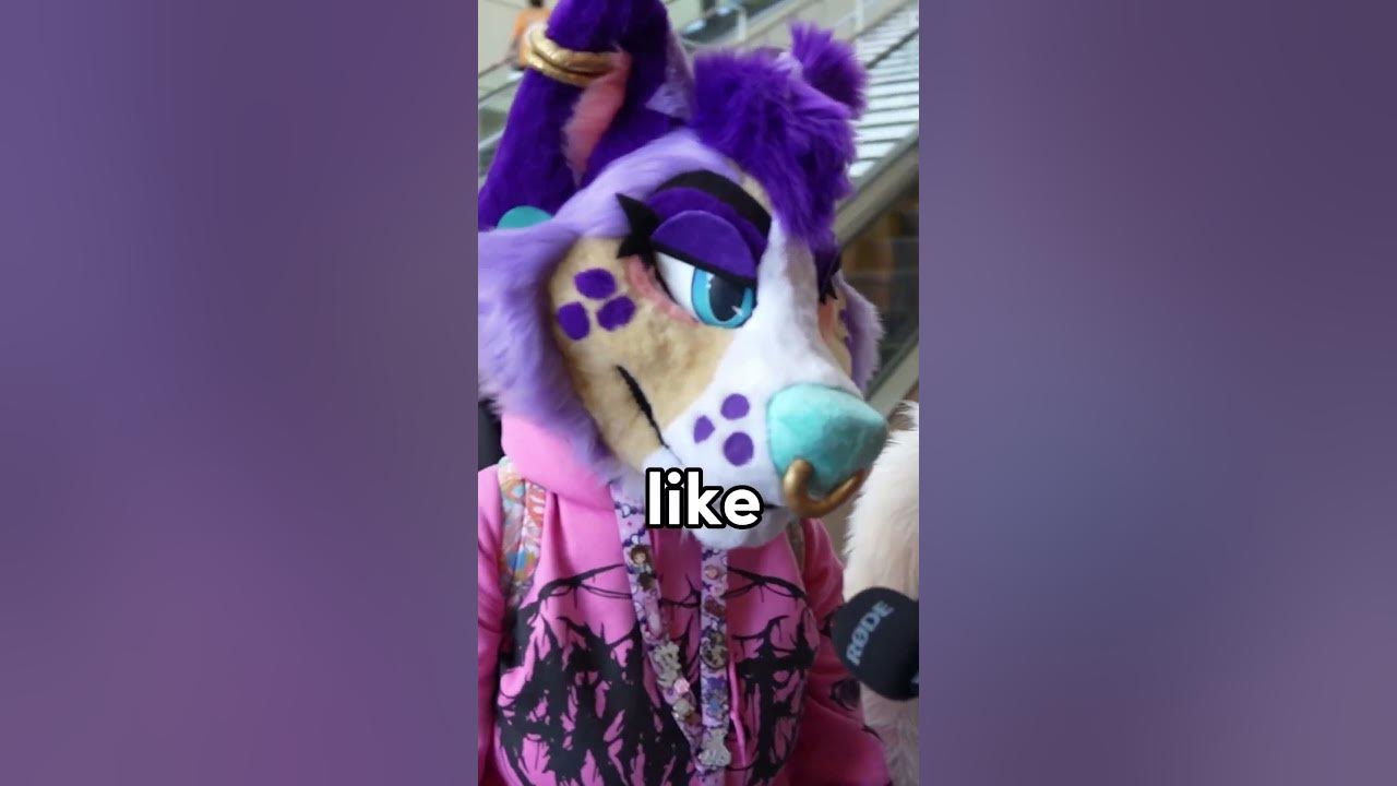 How Much Do These Furry Costumes Cost? furries fursuit fursona YouTube