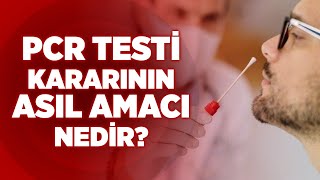 Pcr Testi Kararının Asıl Amacı Nedir? Oğuz Demir - Prof. Dr. Özgür Karcıoğlu Krt Haber