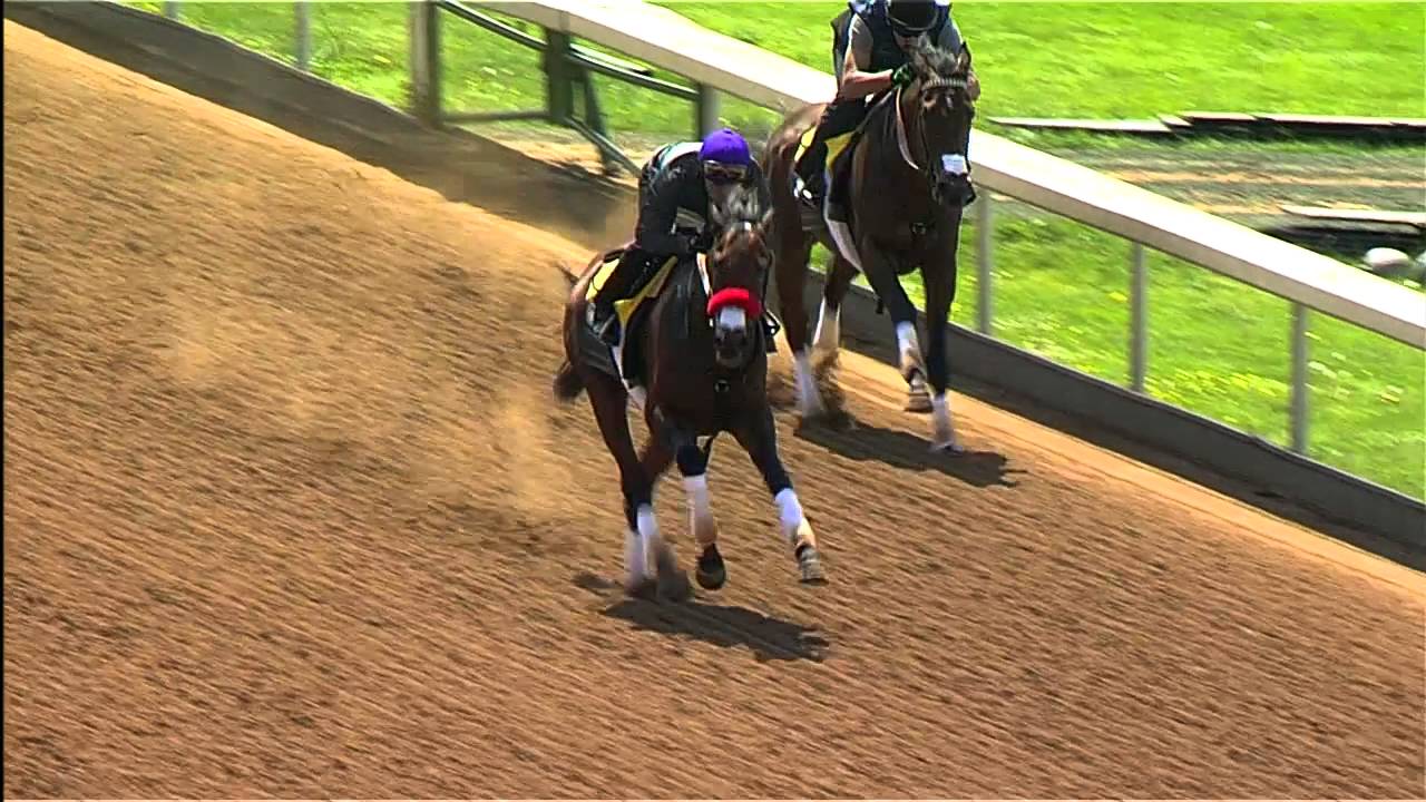 Derby favorite Nyquist works at Keeneland April 29