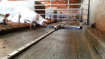 Ratchet Scraper - Dairypower Ratchet Scraper System