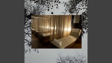 Marvellous Backdrops for Tropical Meditations