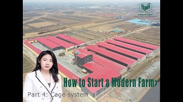 How to start an 800,000 Layers Farm with automatic layer equipment 4