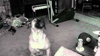 Picture 059.avi