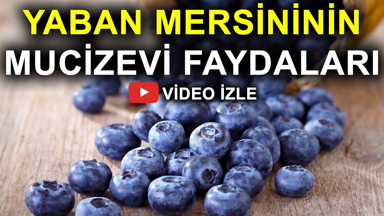 Yaban Mersini Neye İyi Geliyor? Neredeyse Her Derde Deva!