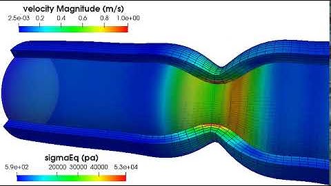 OpenFOAM® - Peristaltic Motion - Fluid Structure Interaction