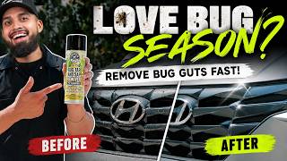 What's the BEST Way to Remove LOVE BUGS from Your Car's Bumper?