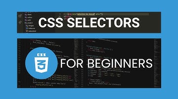 04 - Id, Class and Element Selectors in CSS (Urdu/Hindi)