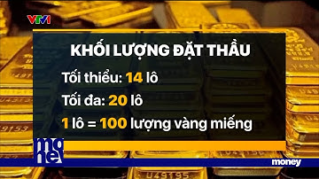 Khoảng 16.800 lượng vàng miếng sẽ được đấu thầu vào sáng ngày 22/4 | VTVMoney