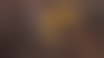 THE DIVISION 2 - TU 9 - PISTOL - SHIELD - BUILD