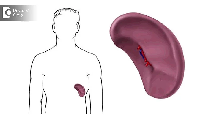 What causes a spleen to enlarge? Can you a shrink an enlarged spleen? - Dr. Lorance Peter - DayDayNews