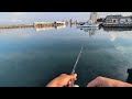 浜名湖シロギスを弁天島&舞阪で狙ってみたら…🐟️【浜名湖釣り】🎣