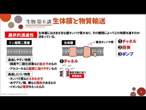 【高校生物】第6講「生体膜と物質輸送」