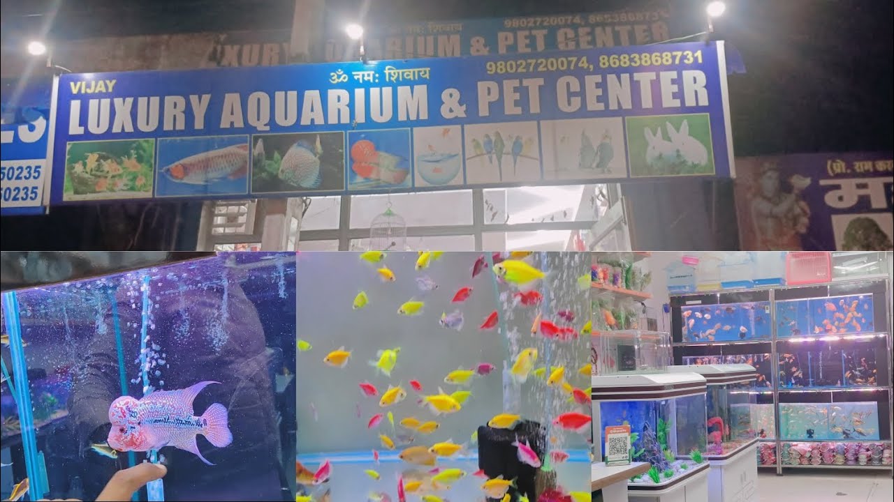 1million Part1 Jain One Price 😀 Luxury Aquarium and Pet Center in