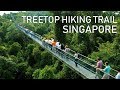 Treetop Walk Hiking Trail | Singapore Macritchie Reservoir