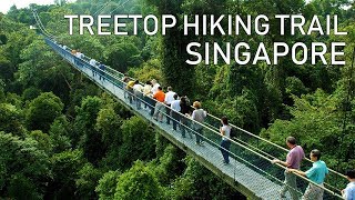 Treetop Walk Hiking Trail | Singapore Macritchie Reservoir