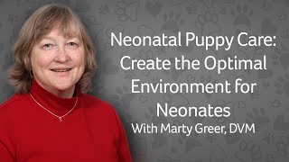 Webinar: Puppywarmer & Newborn Puppy Care