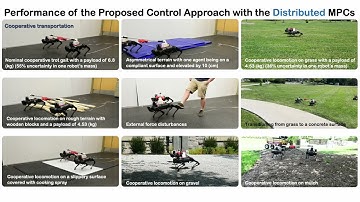 Layered Control for Cooperative Locomotion of Two Quadrupedal Robots