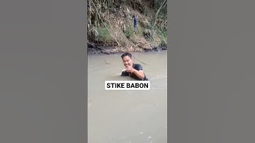 VIRAL!! LAGI-LAGI TANGKAP IKAN CUMA PAKE TANGAN KOSONG HASILNYA MANTAP #shorts #anakpetualangbanten