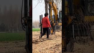 Master the Art of Tree Digging: Your Ultimate Guide to Tree Diggers