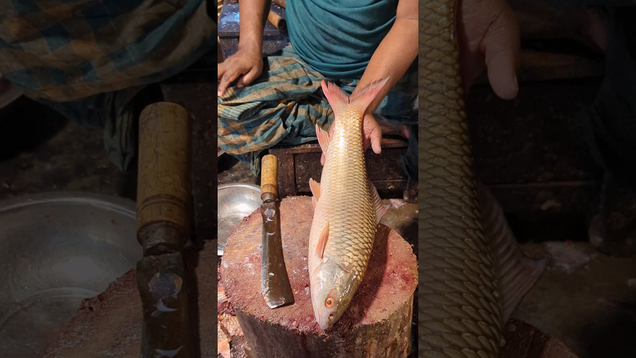 Wow!! Big Giant Rohu: Fish Cleaning & Cutting in Village Market 