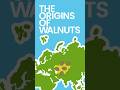 The Origins of Walnuts #shorts